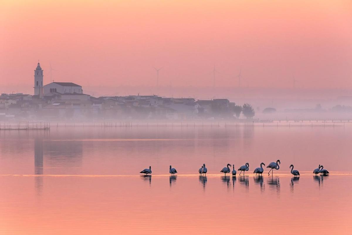 Ca Sal Holiday Home Lesina Buitenkant foto